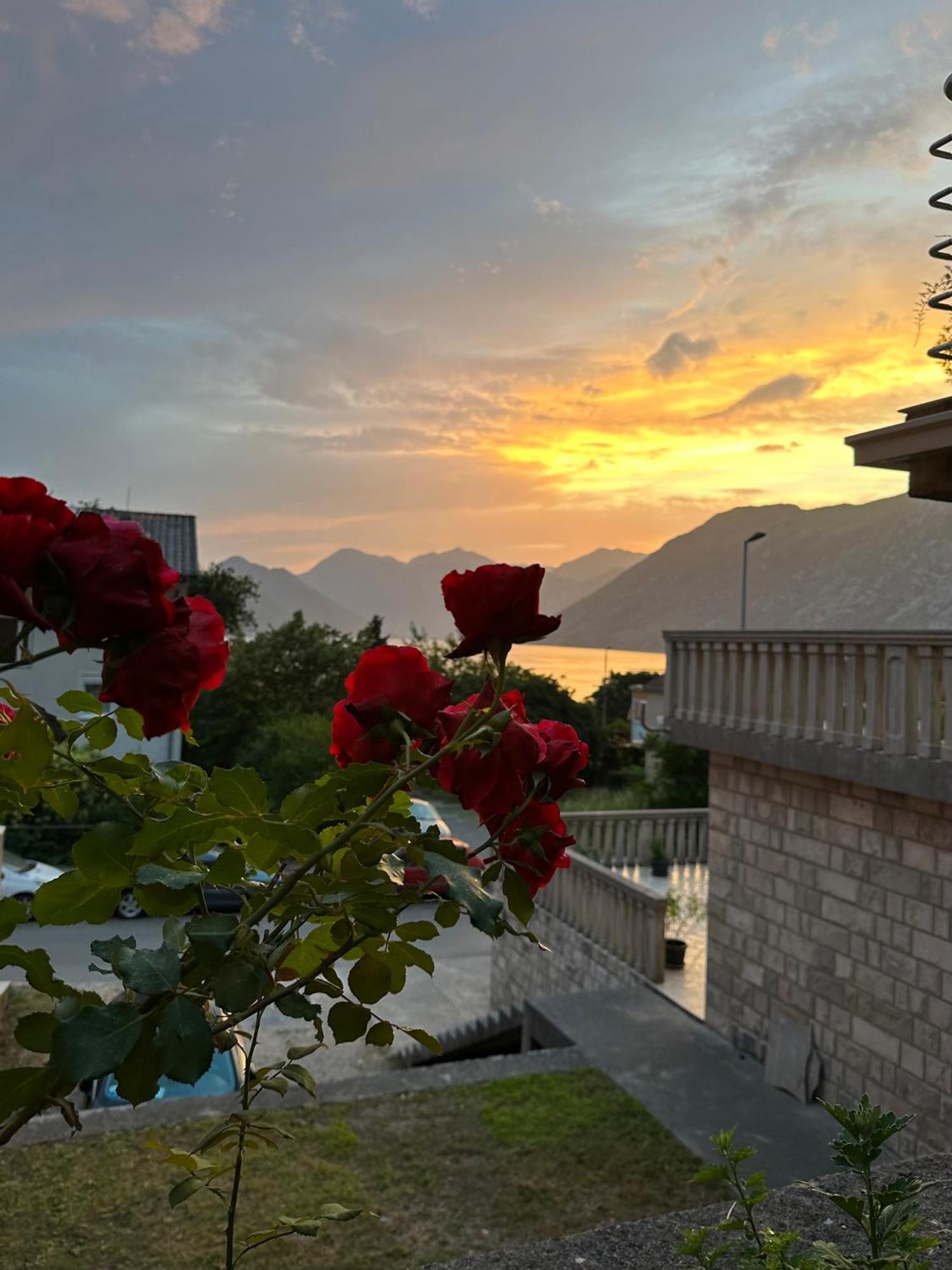 Sunny Apartment Kotor Exterior photo